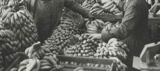 Mängder av bananer i ett varumagasin i Frihamnen