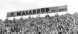 Historiebruk, om hur vi använder historia