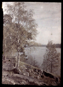 Utsikt över Brunnsviken från Bergianska trädgården