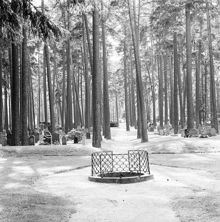 Skogskyrkogården