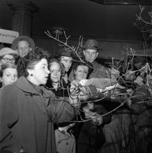 Birger Jarlsgatan 18. Fågelutställning i Ostermans marmorhallar