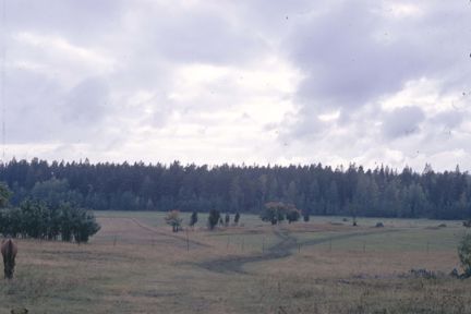 Fältet som röjningsröset låg vid. 