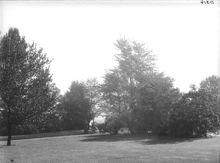 Frisens Park