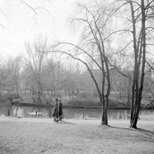 Motiv från Djurgården vid Framnäs