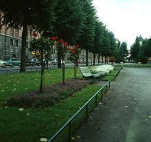 Kungsholmstorg norrut