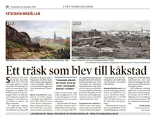 Ett träsk som blev till kåkstad