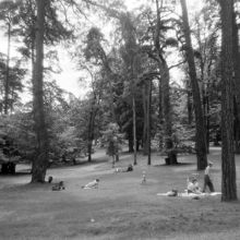 Utflykt i Hagaparken