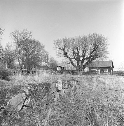 Gårdsmiljö