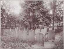 Begravningsplatsen vid Aronsberg