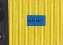 Lugnet : här går plåtvågor / Per Skoglund och Petter Eklund