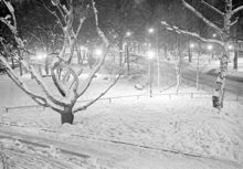 Snöigt Humlegården upplyst på kvällen