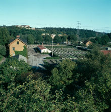 Bergianska trädgården. Vy österut