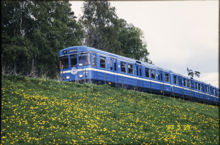 Blått tunnelbanetåg, vagnsmodell C14, passerar äng med maskrosor år 1997