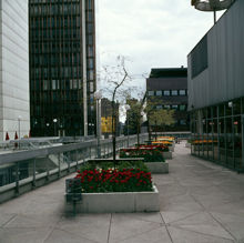 Planteringar på takterrassen i Hötorgscity  V. om Sergelgatan. Vy söderut mot femte Hötorgshuset och EPA-huset. I fonden en skymt av Beridarebansg