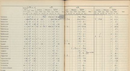 Ifyllt formulär med olika kolumner