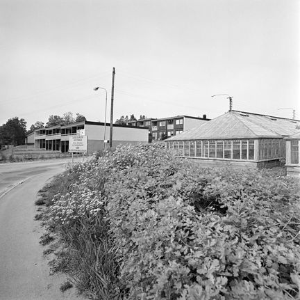 Svartvitt foto på växthus och funkisradhus i en kurva