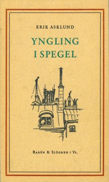 Yngling i spegel / Erik Asklund