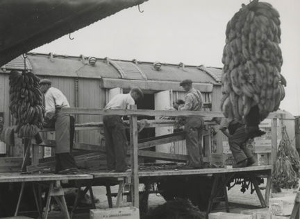 Frihamnen: Lossning av bananer