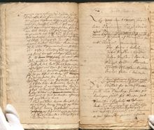 Rinkebybonde bestulen av nattgäst