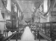 Stockholmsutställningen 1897. Flottans avdelning, interiör