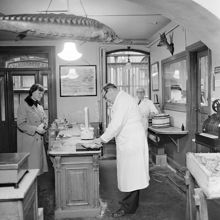 Firma  A.G. Bergfalk & Co. Vilthandel vid Stora Gråmunkegränd 3