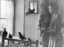 Ester Abrahamsson med sina duvor i gårdshuset vid Mäster Samuelsgatan 40. Här finns nu ett kontorshus byggt 1965 vid Mäster Samuelsgatan 38, fortfarande i kv. Putten