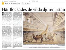 Här flockades de vilda djuren i stan